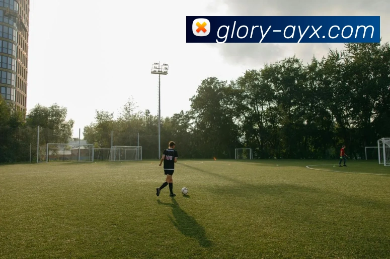 爱游戏品牌故事