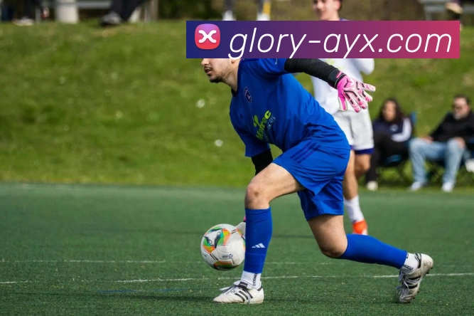 爱游戏服务体系